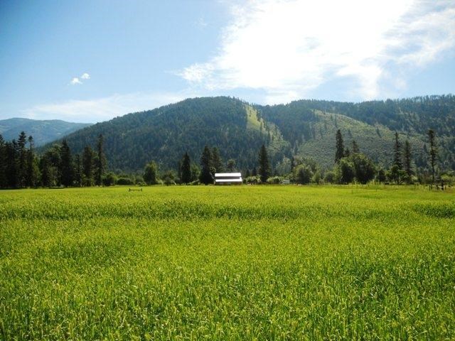 560 A Williams Lake Road Colville, WA 99114 - Photo 11 of 16 Gallery Image 11