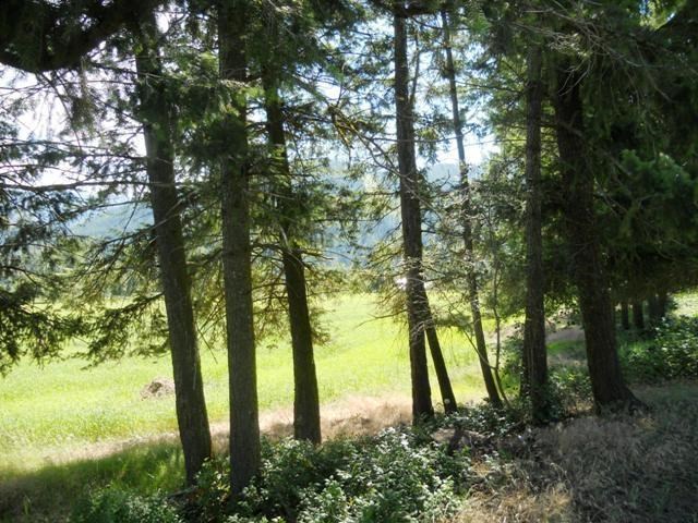 560 A Williams Lake Road Colville, WA 99114 - Photo 14 of 16 Gallery Image 14