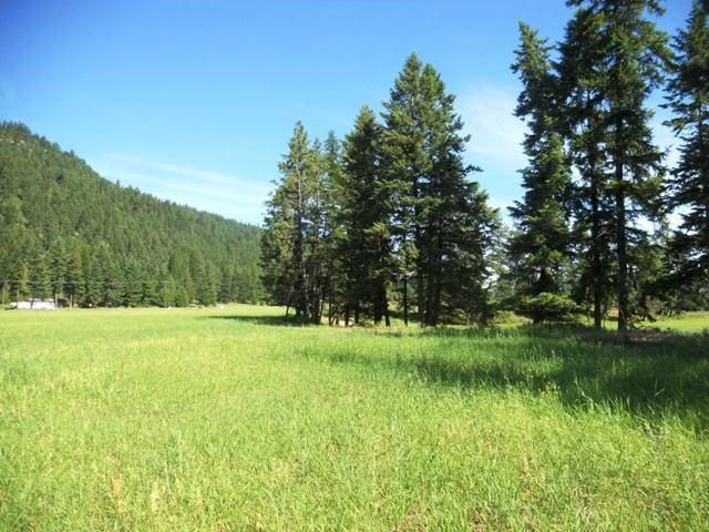 560 A Williams Lake Road Colville, WA 99114 - Photo 4 of 16 Gallery Image 4