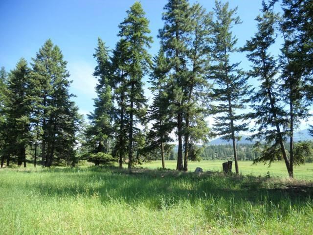 560 A Williams Lake Road Colville, WA 99114 - Photo 5 of 16 Gallery Image 5