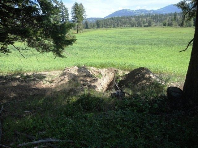 560 A Williams Lake Road Colville, WA 99114 - Photo 7 of 16 Gallery Image 7