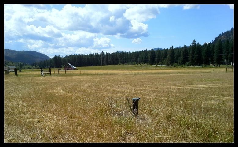 560 A Williams Lake Road Colville, WA 99114 - Photo 8 of 16 Gallery Image 8