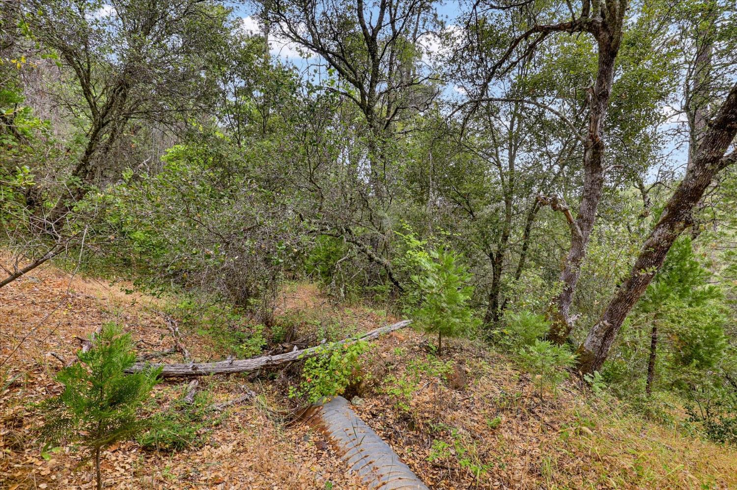 17422 Scopar Road Grass Valley, CA 95949 - Photo 48 of 63