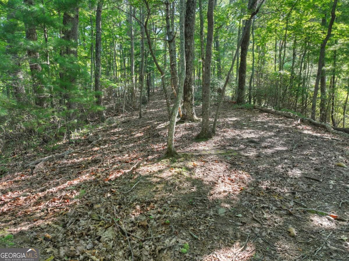 3.6-ac Prince Mountain Road Cherry Log, GA 30522 - Photo 22 of 22 Gallery Image 22