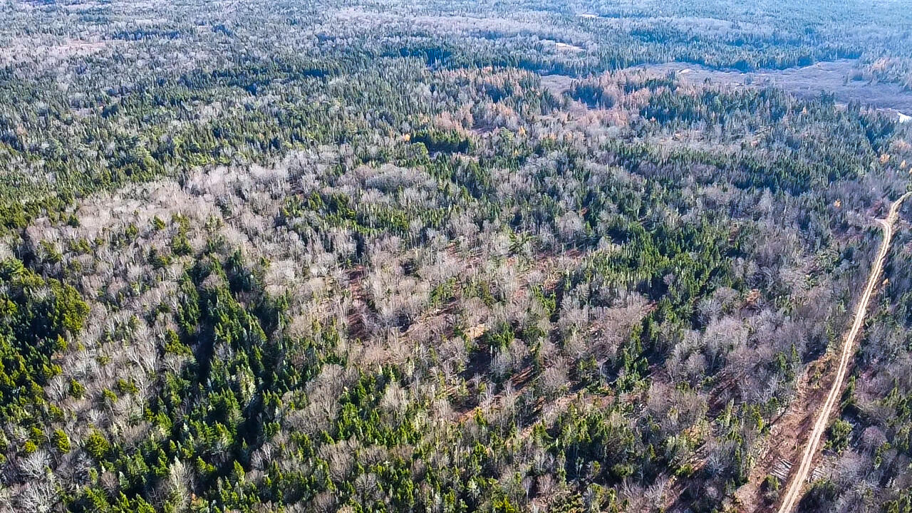 04 Lots Road Whiting, ME 04691 - Photo 1 of 12 aerial view