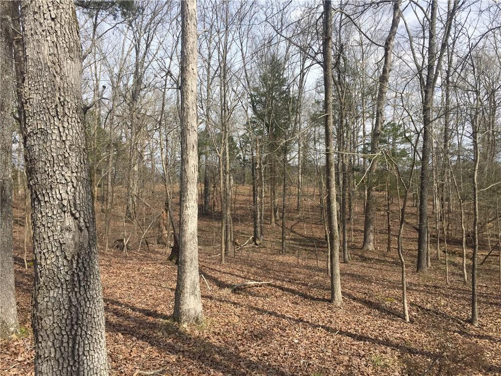 0 Phillips Chapel Road Haw River, NC 27258 - Photo 11 of 22 Photo 11