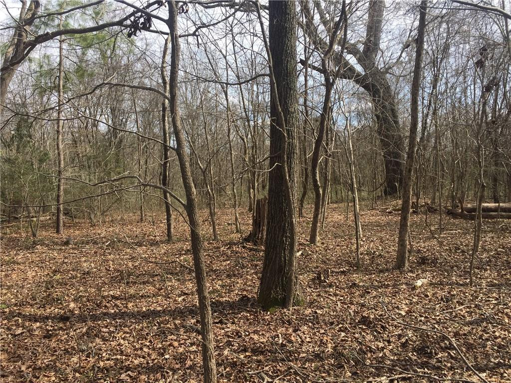 0 Phillips Chapel Road Haw River, NC 27258 - Photo 13 of 22 Photo 13