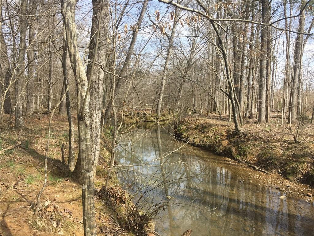 0 Phillips Chapel Road Haw River, NC 27258 - Photo 15 of 22 Photo 15