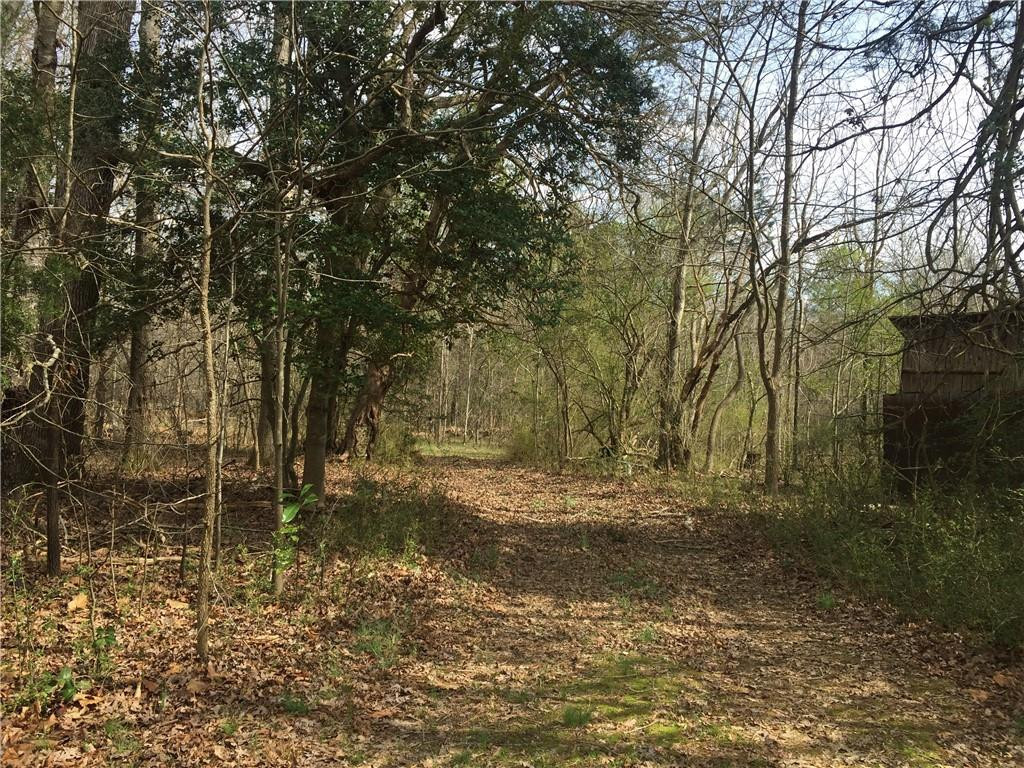 0 Phillips Chapel Road Haw River, NC 27258 - Photo 18 of 22 Photo 18