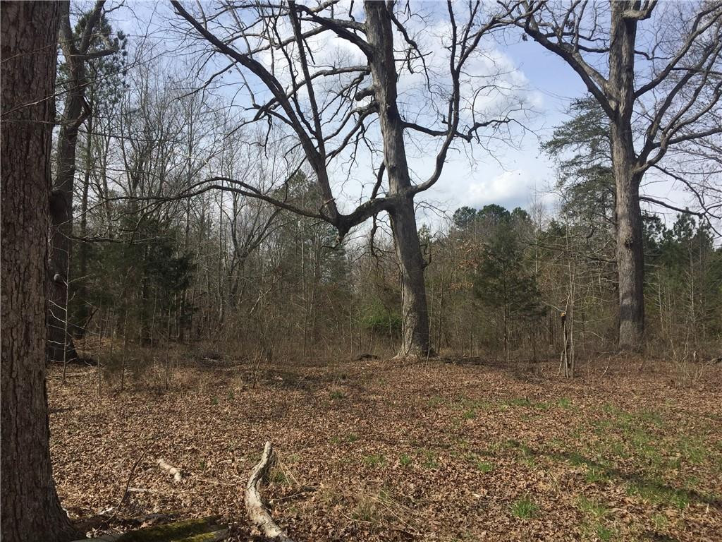 0 Phillips Chapel Road Haw River, NC 27258 - Photo 21 of 22 Photo 21