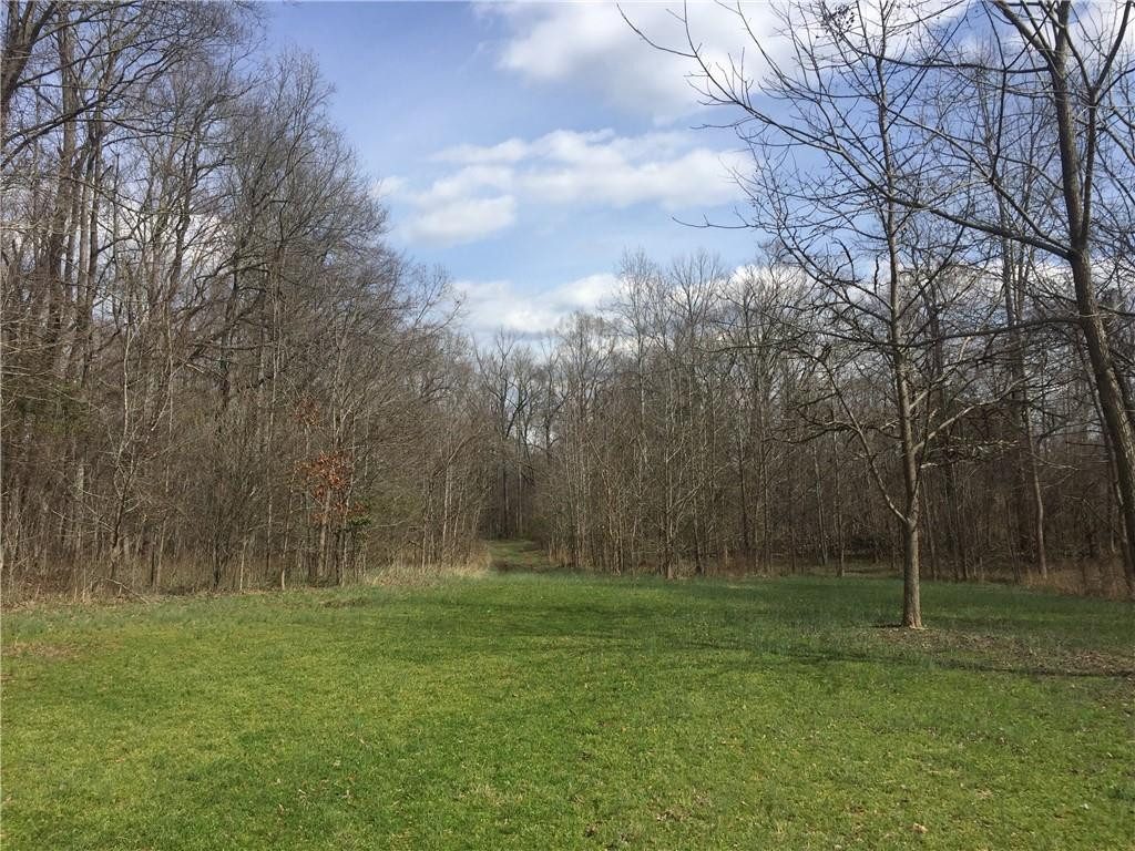 0 Phillips Chapel Road Haw River, NC 27258 - Photo 8 of 22 Photo 8