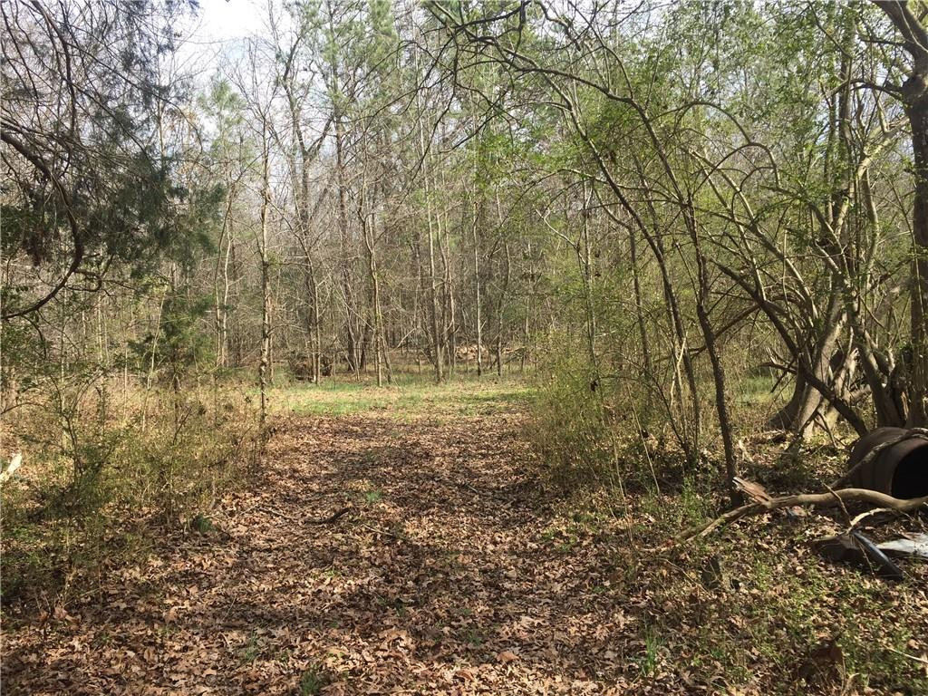 0 Phillips Chapel Road Haw River, NC 27258 - Photo 9 of 22 Photo 9