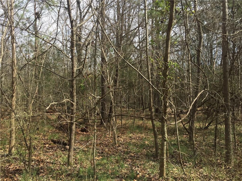 0 Phillips Chapel Road Haw River, NC 27258 - Photo 10 of 22 Photo 10