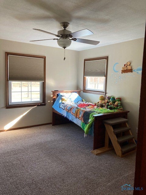 500 Carpenter Road Defiance, OH 43512 - Photo 19 of 20 Gallery Image 19