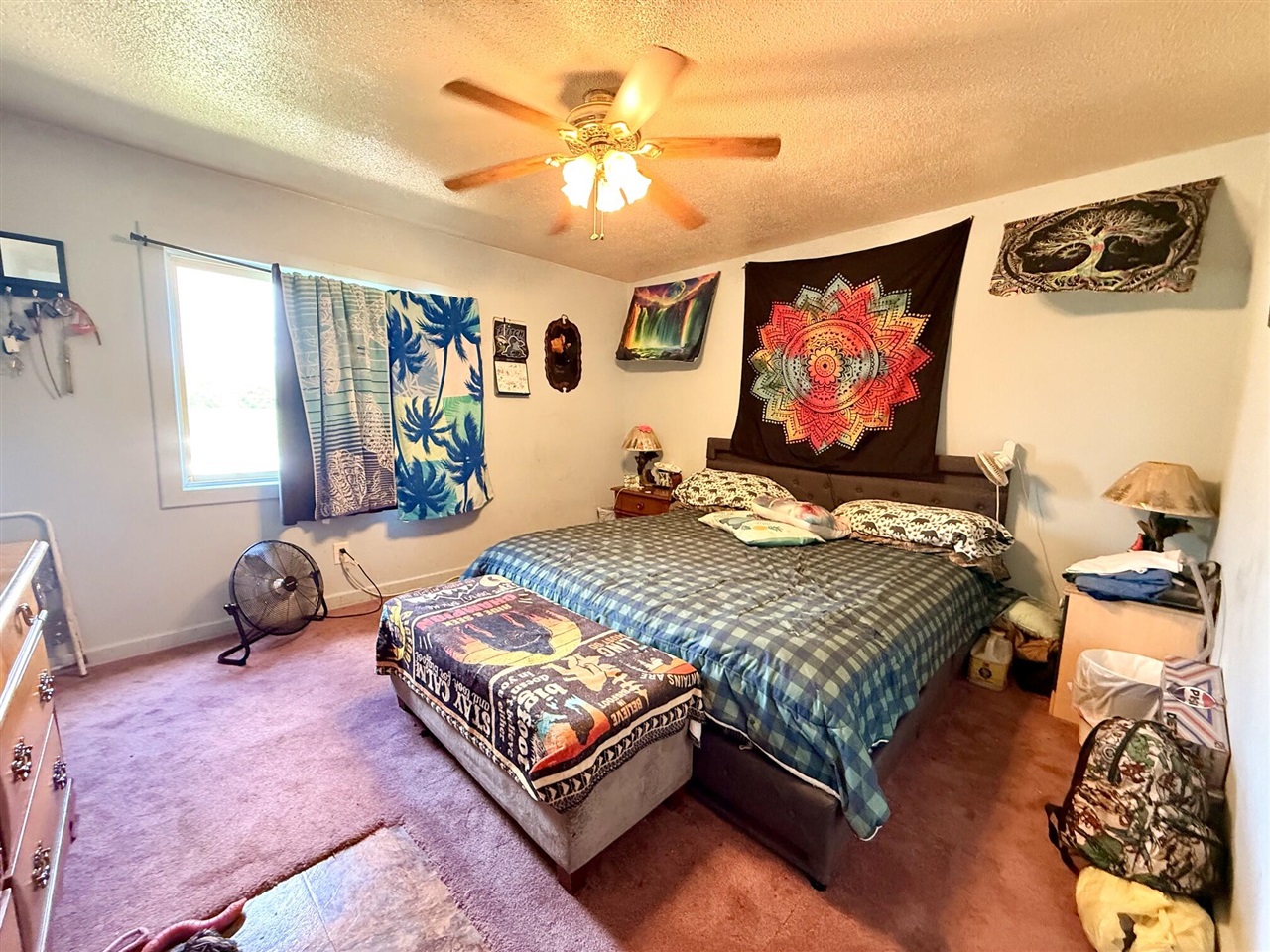 8565 Mt Hope Road Carson City, MI 48811 - Photo 15 of 36 Gallery Image 15