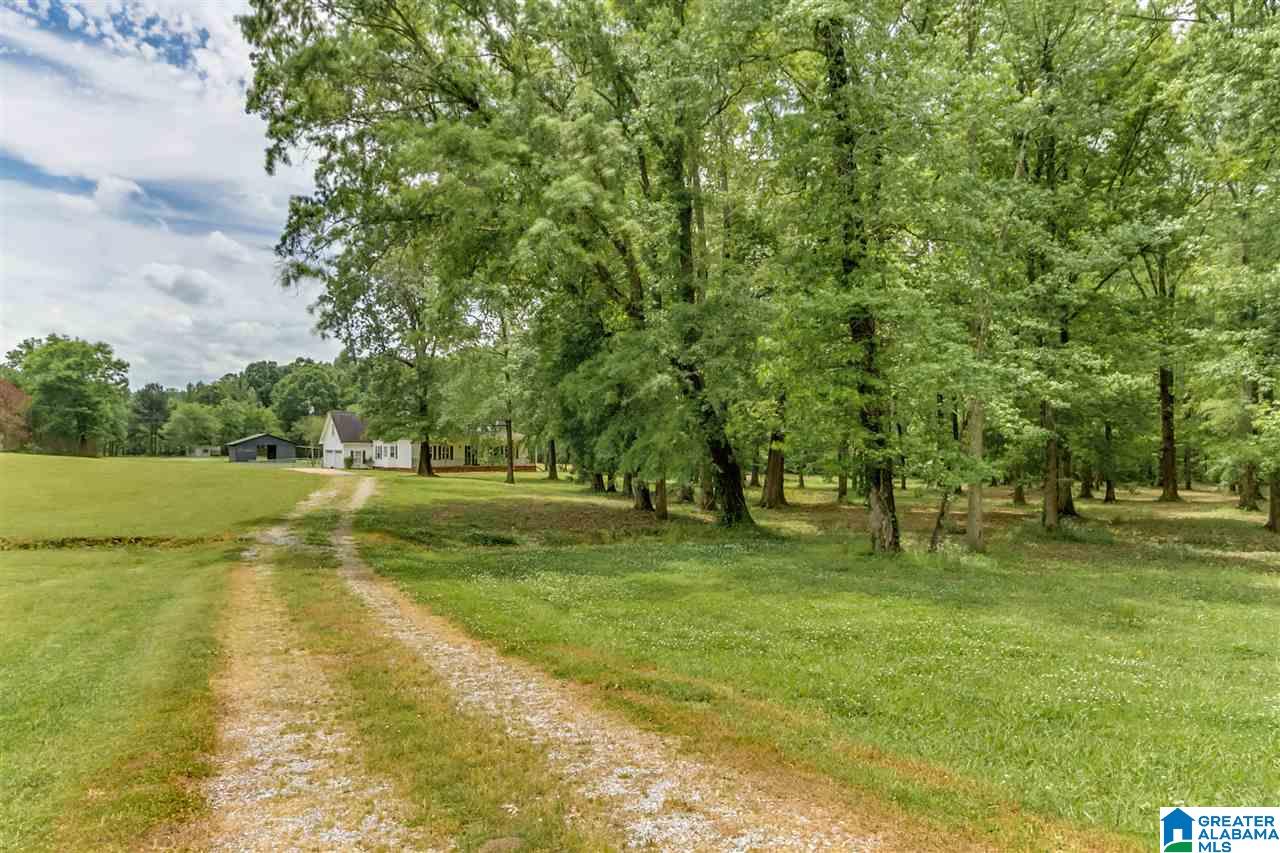 3073 Buttermilk Road Cordova, AL 35550 - Photo 17 of 30