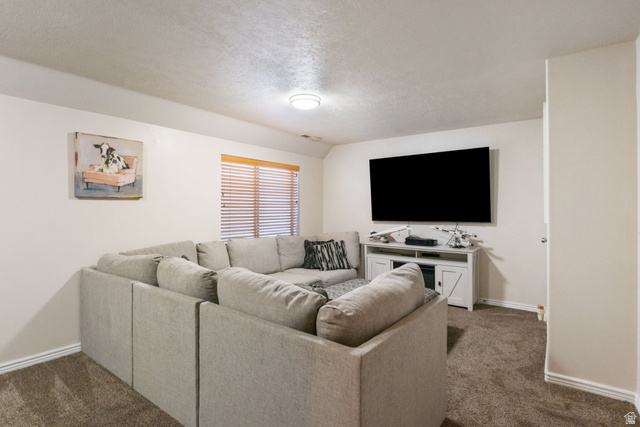 12238 South Madison View Drive Riverton, UT 84065 - Photo 26 of 37