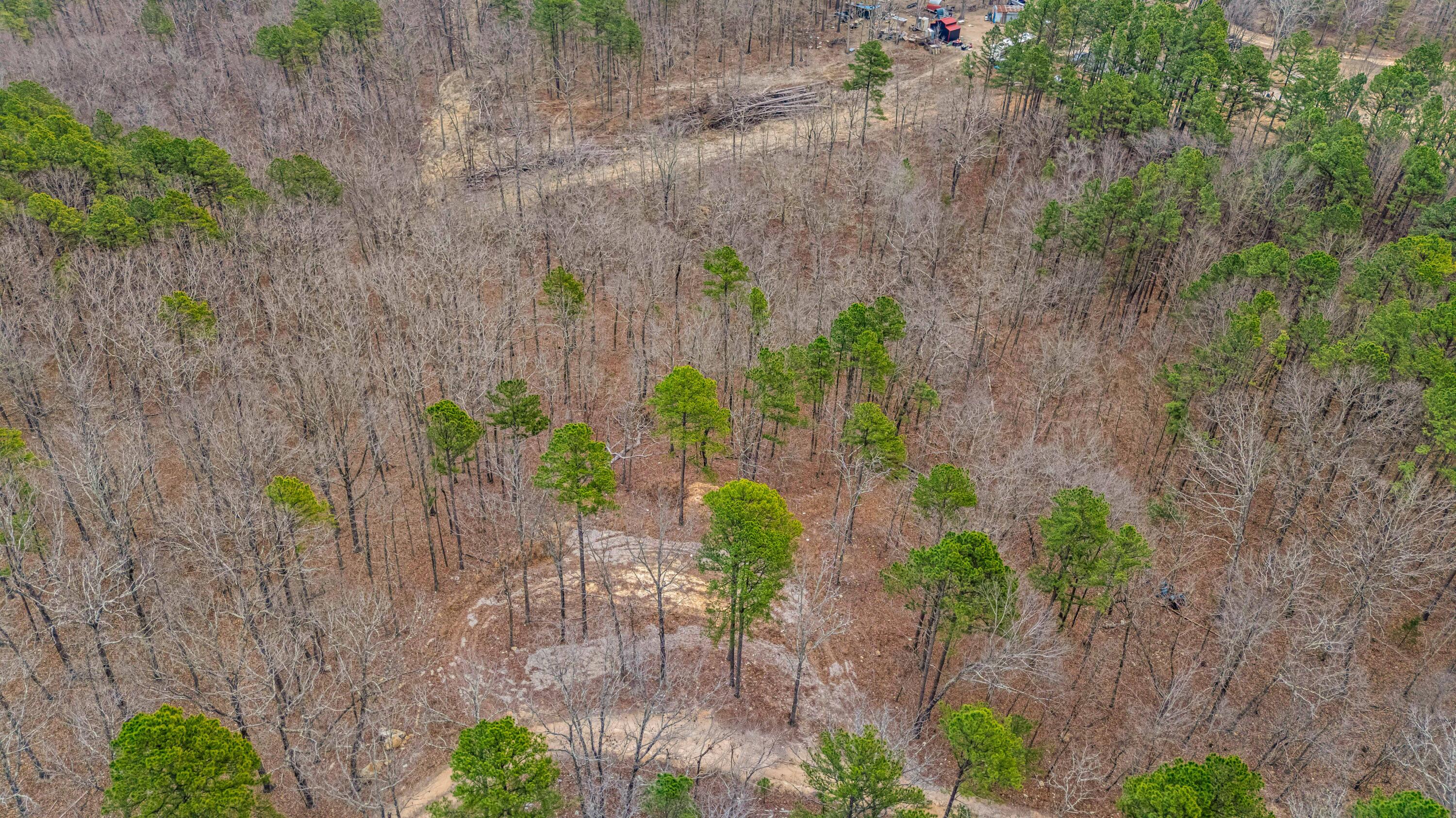 467 Timberline Road Willow Springs, MO 65793 - Photo 4 of 7 DJI_20260228171617_0635_D