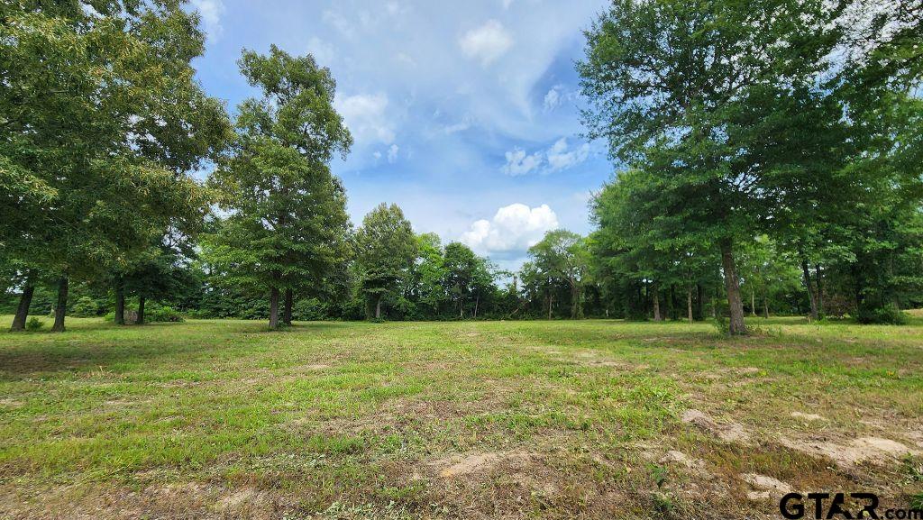 151 Bluewood Road Big Sandy, TX 75755 - Photo 21 of 33