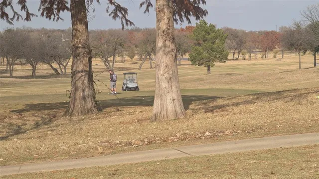 a view of dirt yard with a large tree