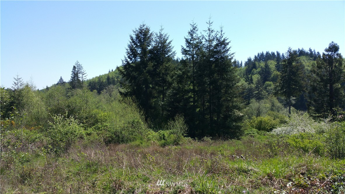 0 Holcomb Road Napavine, WA 98532 - Photo 1 of 4