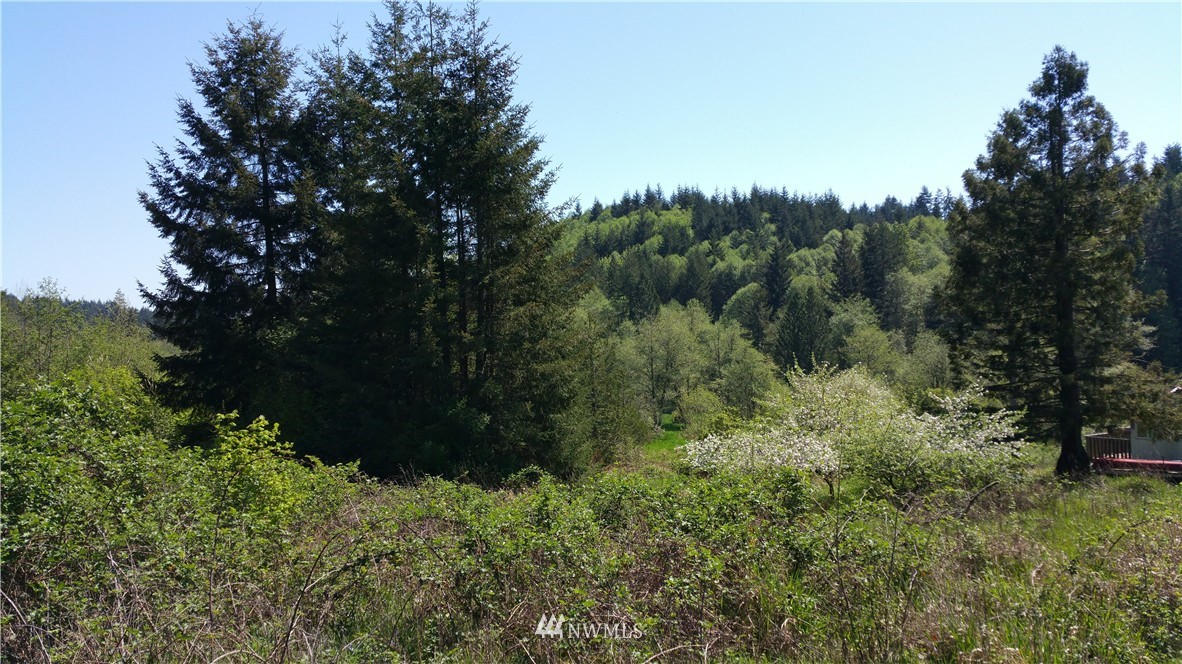0 Holcomb Road Napavine, WA 98532 - Photo 2 of 4