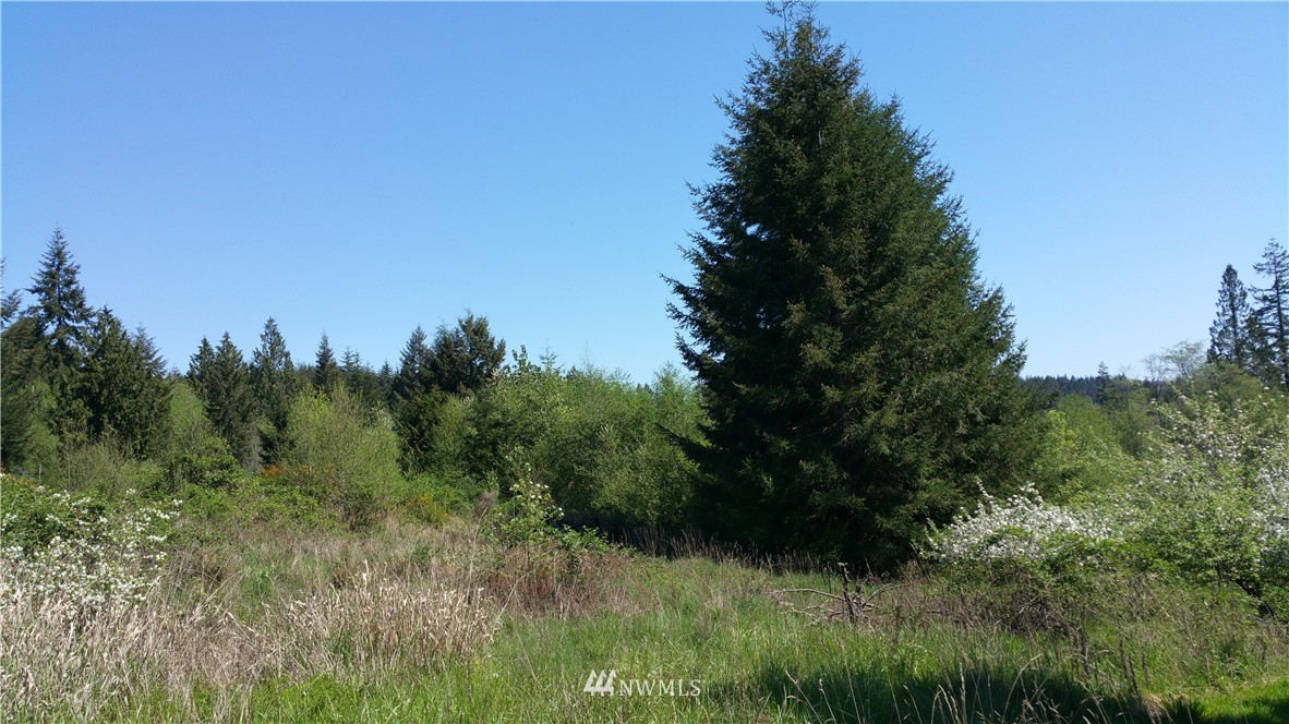 0 Holcomb Road Napavine, WA 98532 - Photo 3 of 4