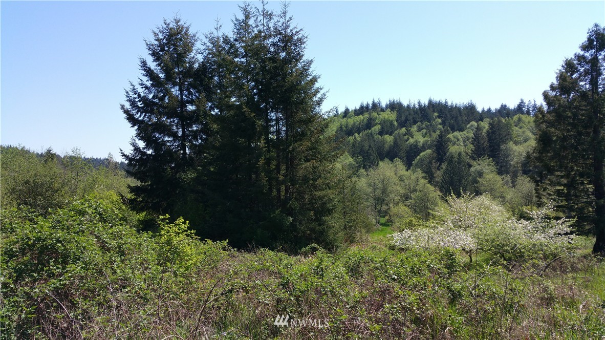 0 Holcomb Road Napavine, WA 98532 - Photo 4 of 4