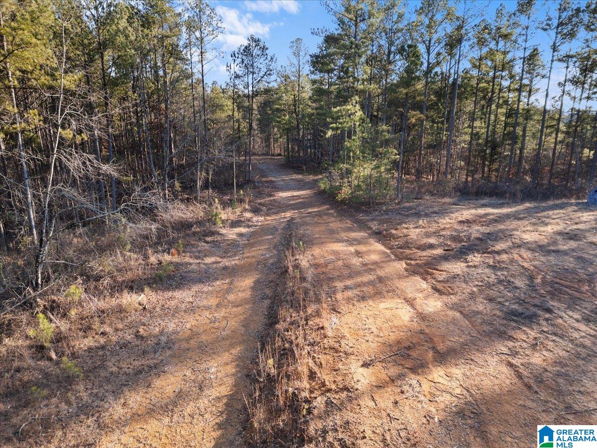 0 Smith Road Boaz, AL 35957 - Photo 4 of 27 Gallery Image 4