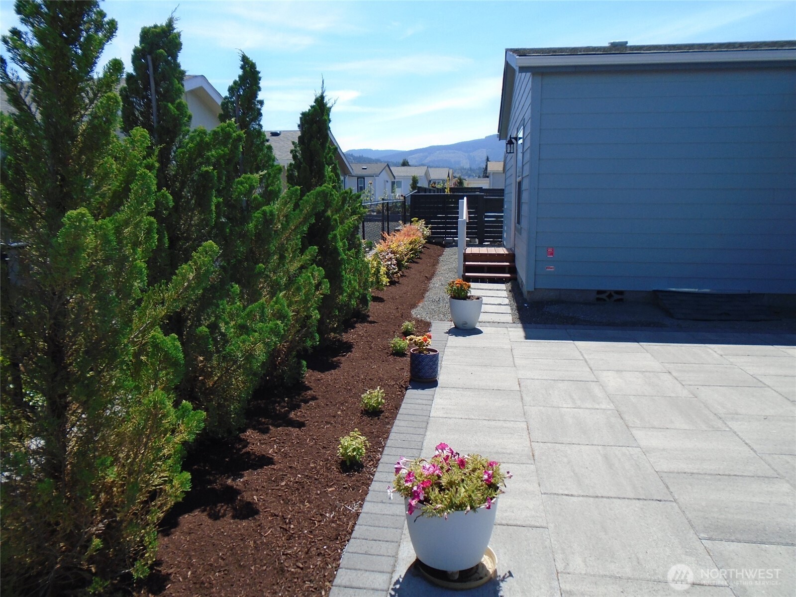 894 North Iris Avenue Sequim, WA 98382 - Photo 33 of 38 a bunch of flowers are in a garden