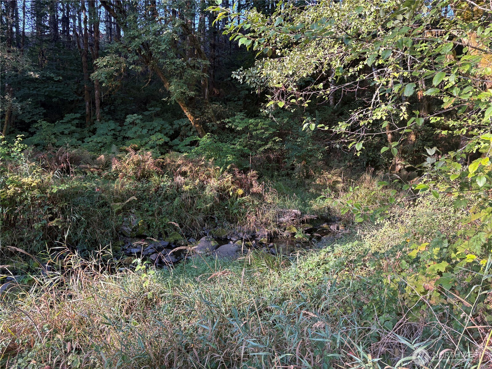 -nka Frank Smith Road Toutle, WA 98649 - Photo 7 of 19 Gallery Image 7