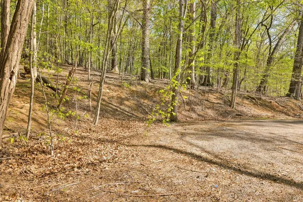 $28,000 | 0 Old Barn Road, Moneta, VA 24121