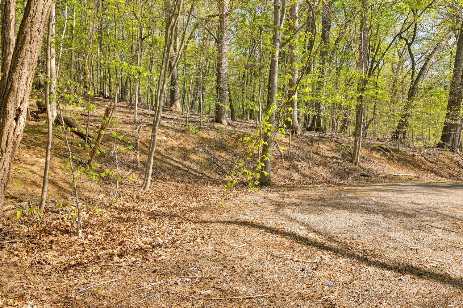 0 Old Barn Road Moneta, VA 24121 - Photo 1 of 26