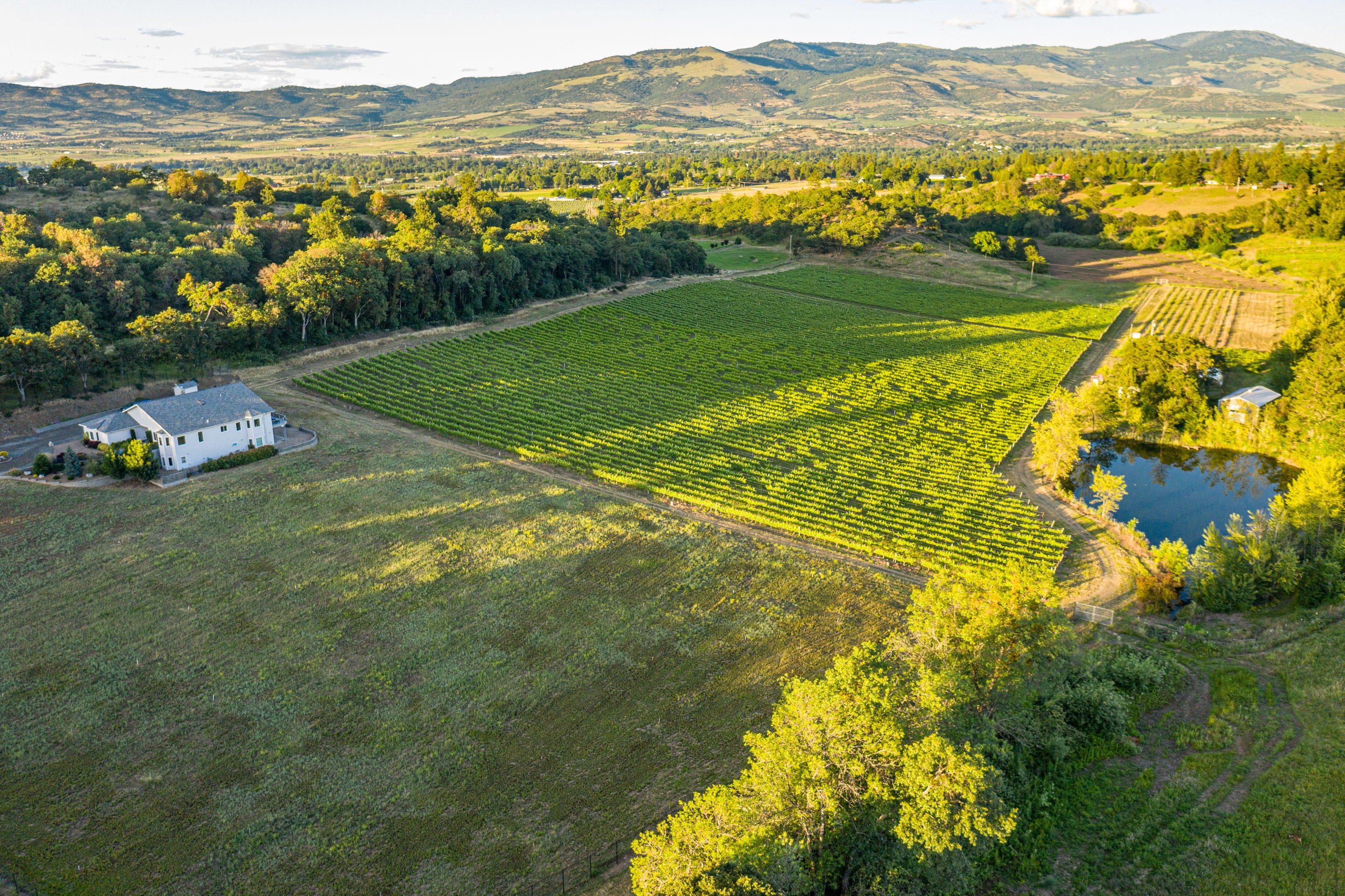 3578 Pioneer Road Medford, OR 97501 - Photo 45 of 46 y1