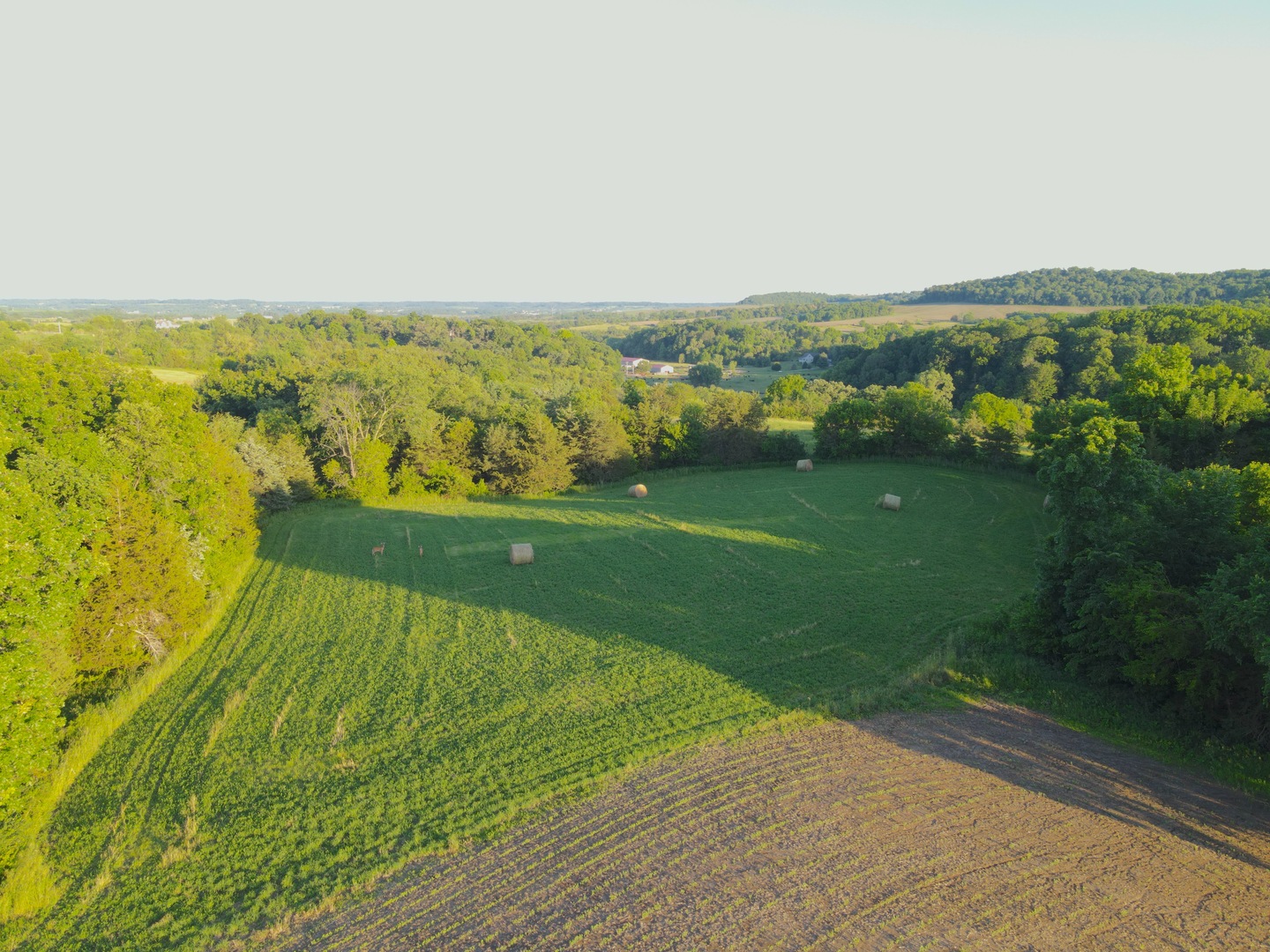 3340 West Longhollow Road Elizabeth, IL 61028 - Photo 28 of 52