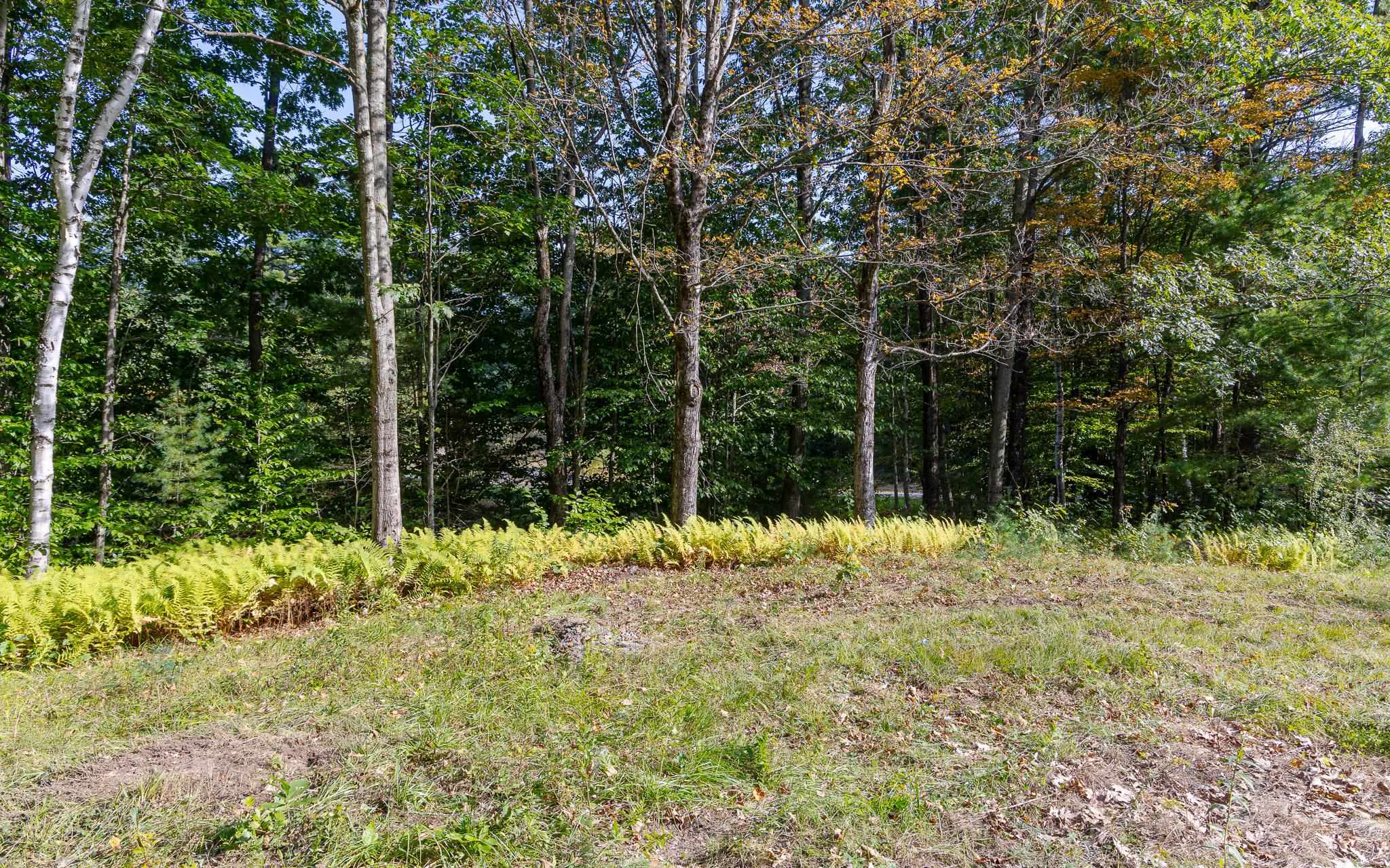 0 Merriam Road Walpole, NH 03608 - Photo 8 of 8