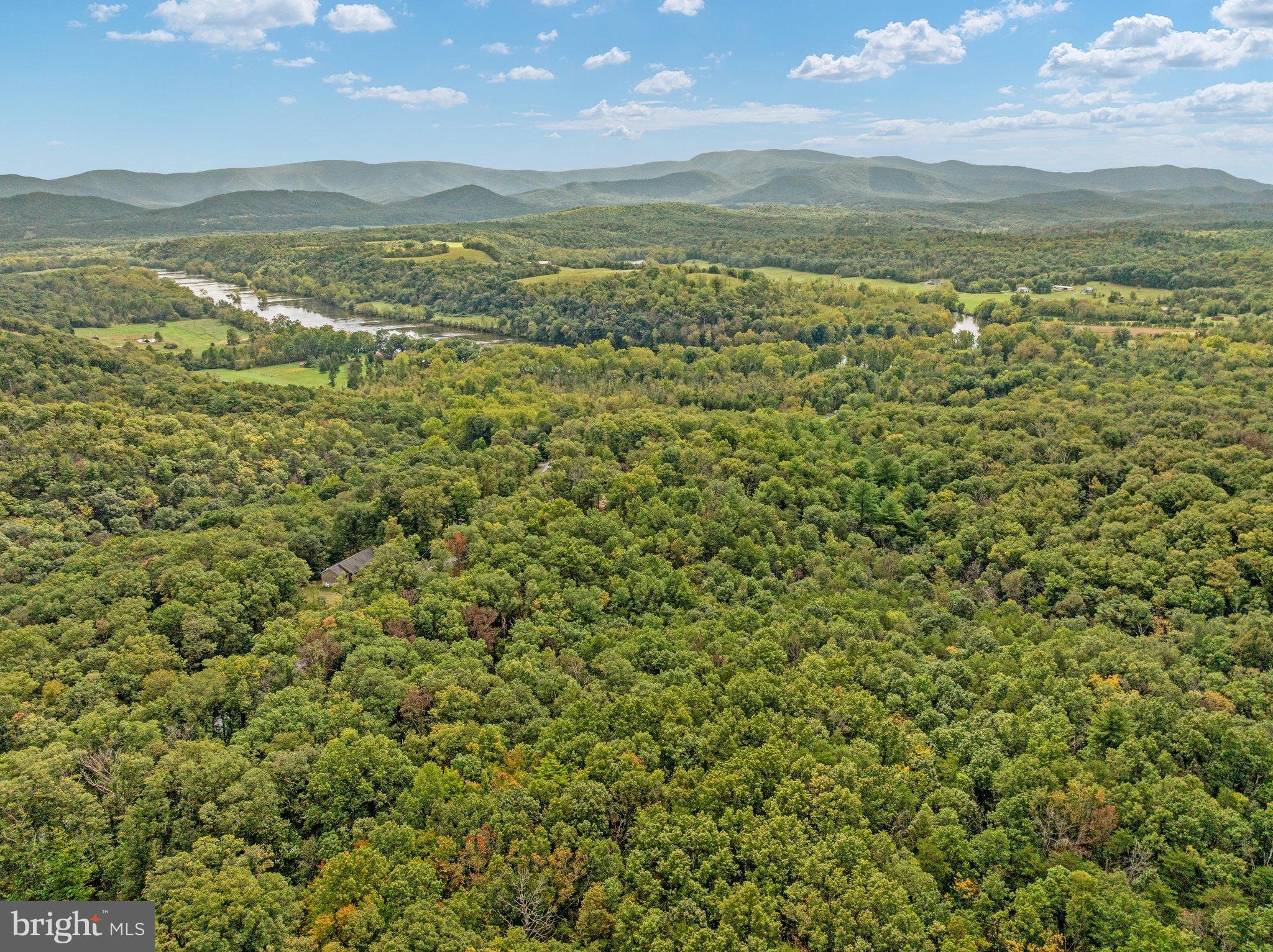 3823 Panhandle Road Front Royal, VA 22630 - Photo 63 of 78 DJI_20260929122502_0516_D-ABSALT-SEPT2026 62