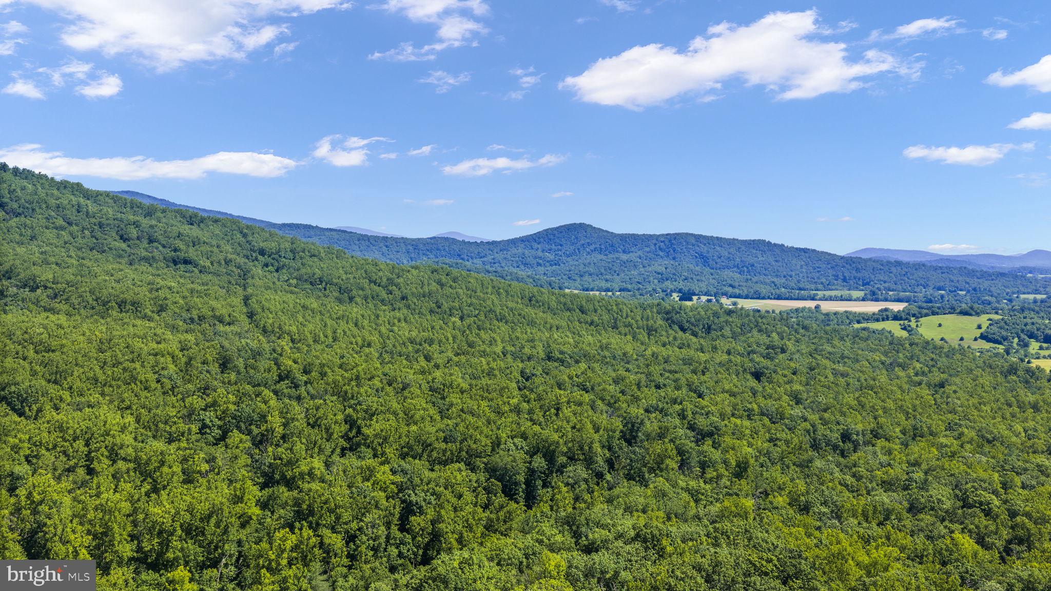 1319 Champe Plain Road Etlan, VA 22719 - Photo 56 of 63