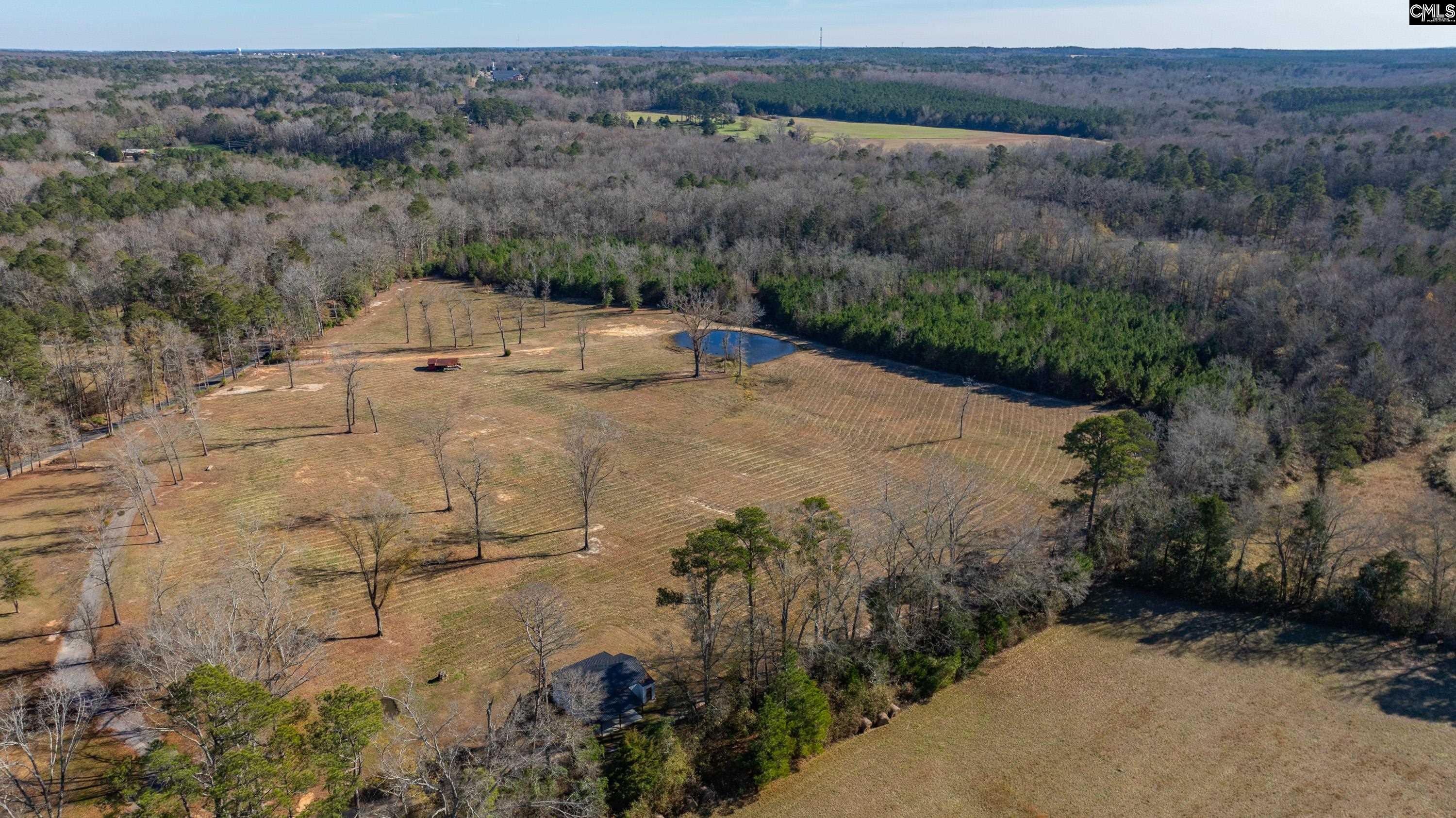 0 Cedar Grove Road Leesville, SC 29070 - Photo 6 of 14