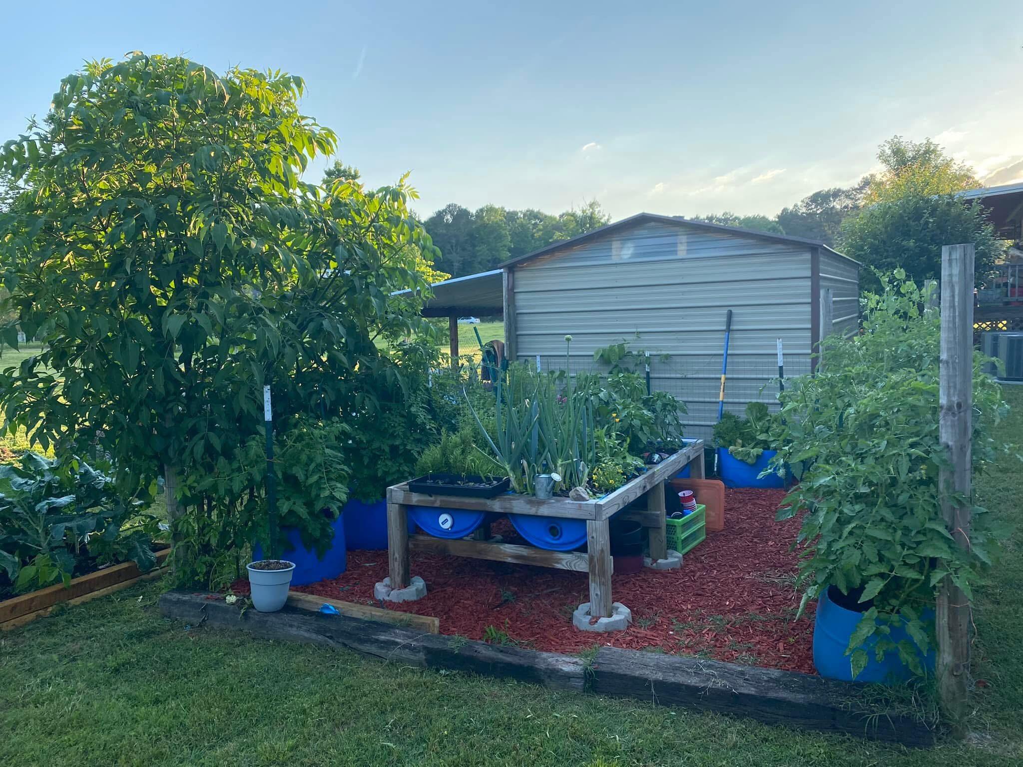 269 Whippoorwill Way Ringgold, GA 30736 - Photo 47 of 51 IMG_9739