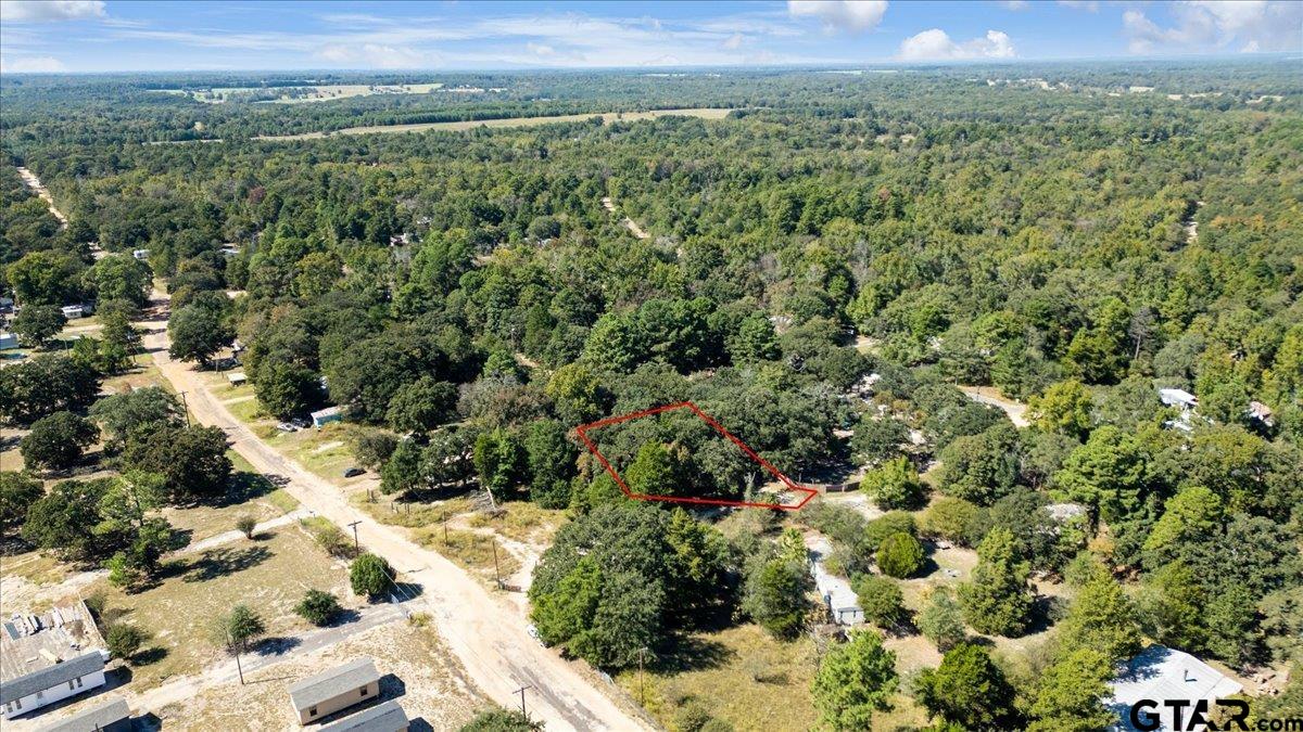 23207 Holly Road Mineola, TX 75773 - Photo 18 of 19