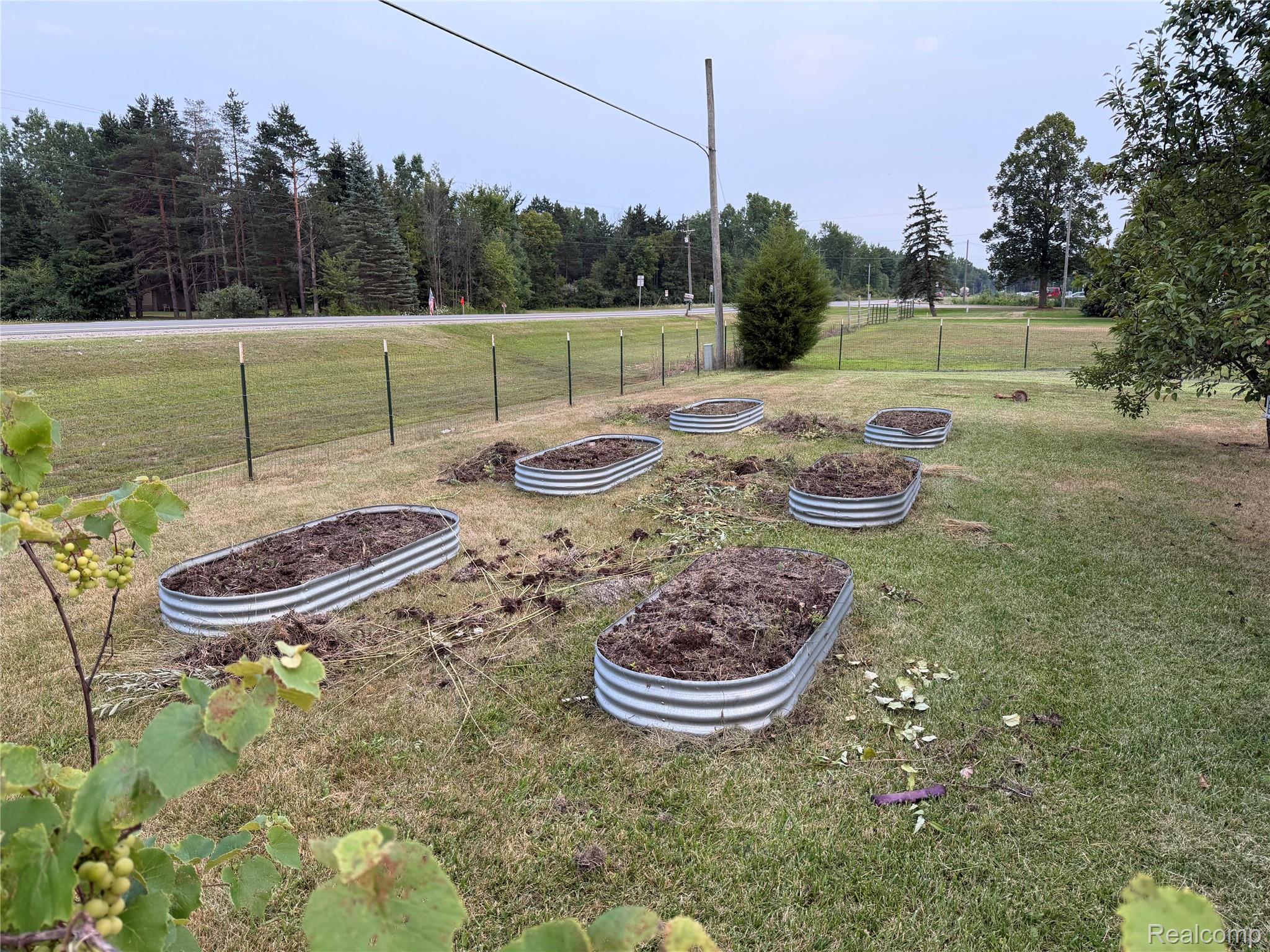 2402 Mertz Road Caro, MI 48723 - Photo 18 of 26 Expansive yard featuring multiple raised garden beds, a partial perimeter fence, mature trees, and a gravel road