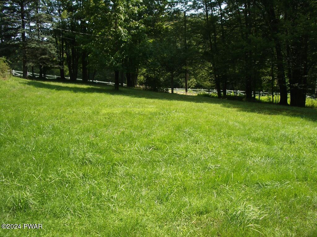 81 Tuthill Road Waymart, PA 18472 - Photo 7 of 29 a view of a park with trees in the background
