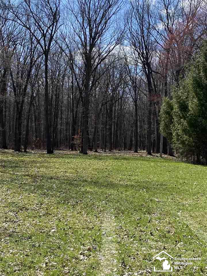 0 Yensch Road Maybee, MI 48159 - Photo 4 of 5 Gallery Image 4