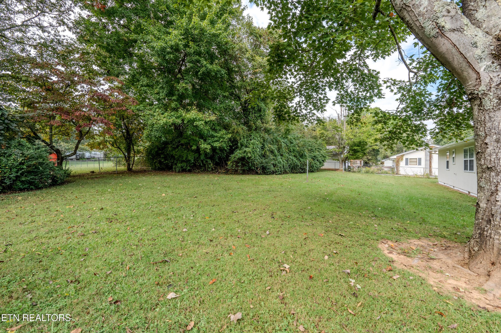 325 Blue Ridge Lane Seymour, TN 37865 - Photo 27 of 27 a view of a garden with a trees