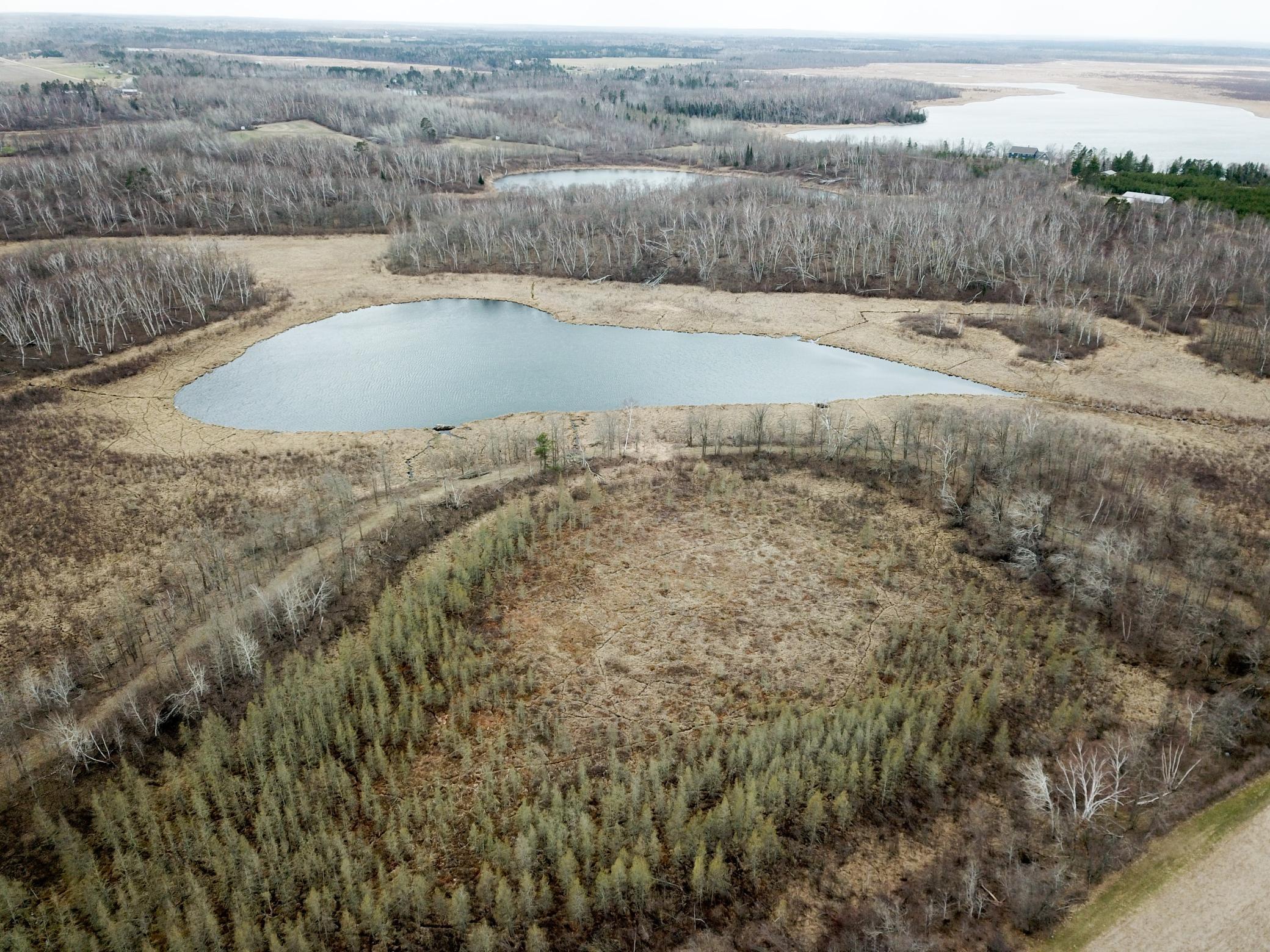 Tbd1 Boot Lake Road Southwest Bemidji, MN 56601 - Photo 16 of 41