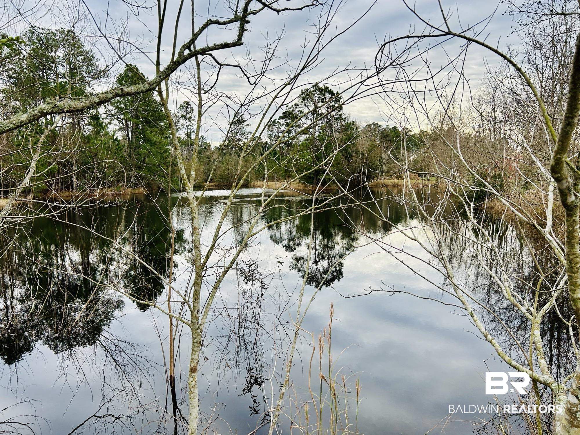13551 Gaston Loop Road Grand Bay, AL 36541 - Photo 12 of 15 View of water feature