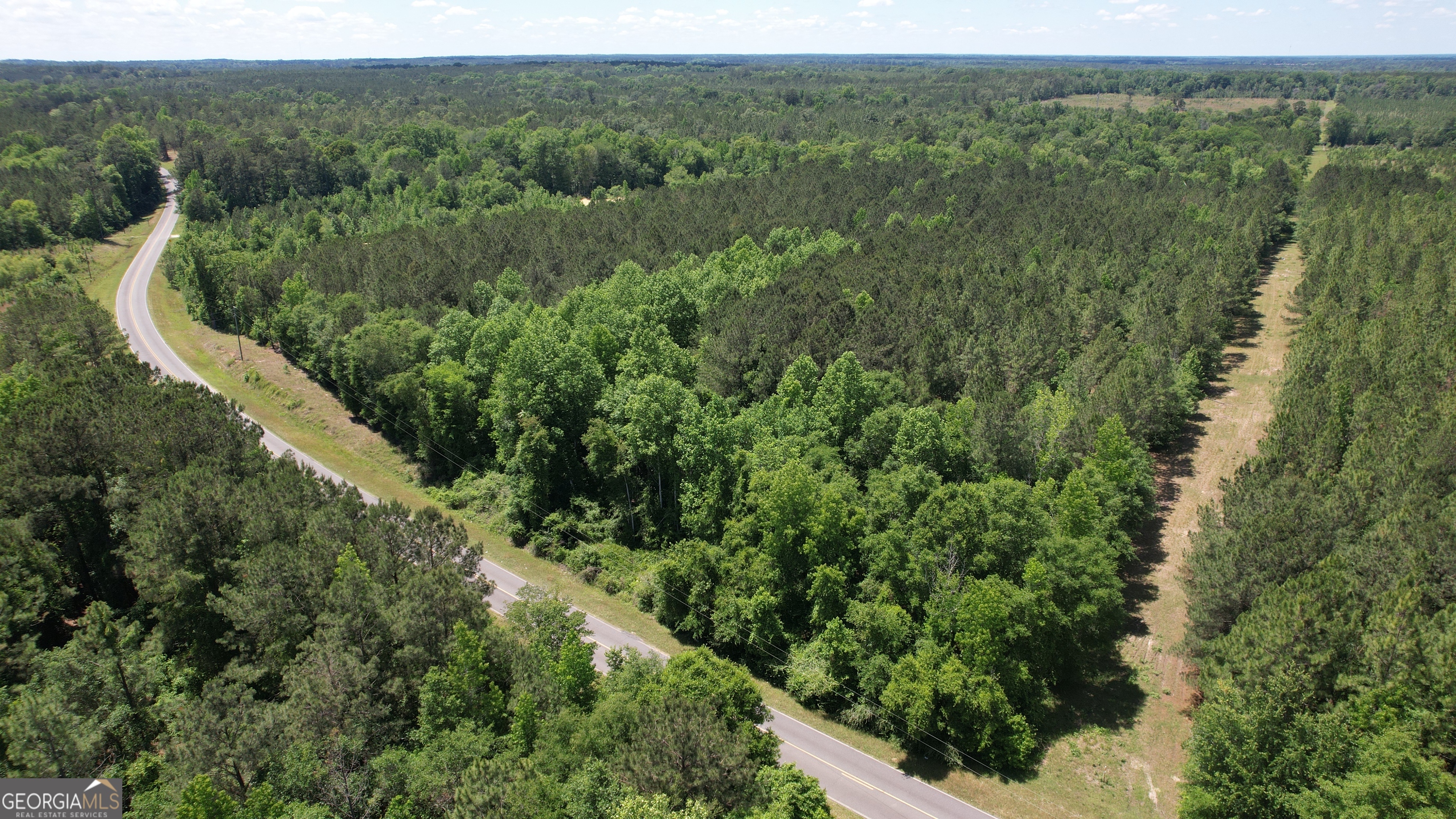Rose Lot Dublin Eastman Road Dexter, GA 31019 - Photo 5 of 17
