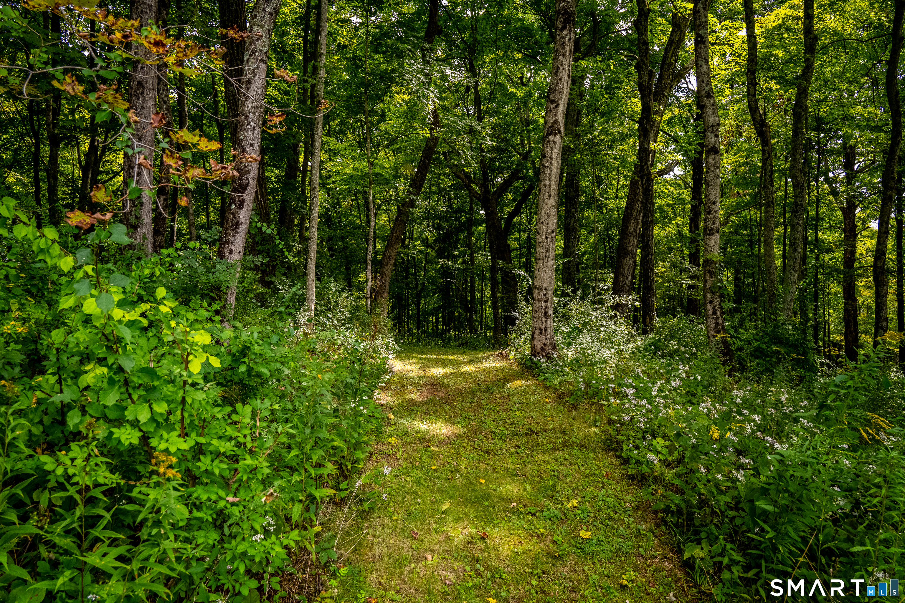 196 Mudge Pond Road Sharon, CT 06069 - Photo 16 of 40 Gallery Image 16