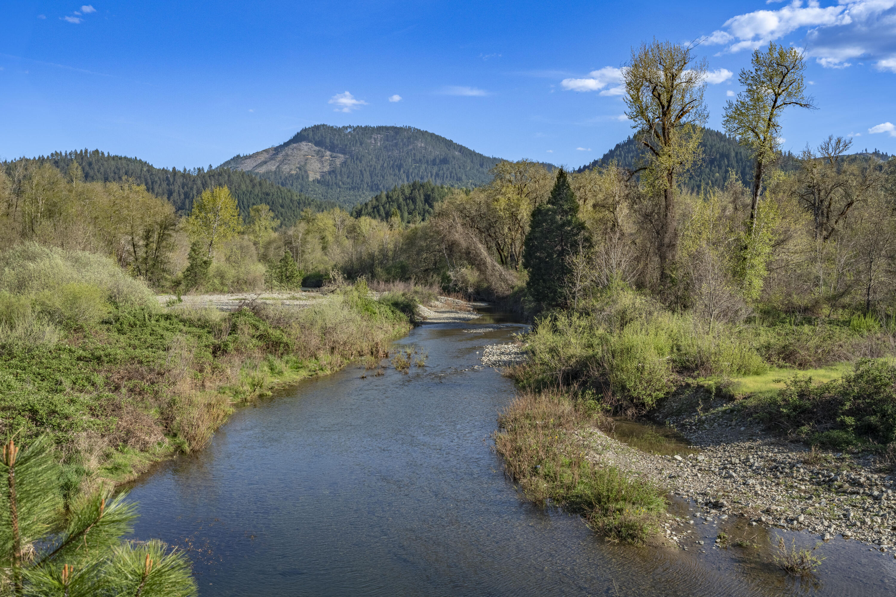 1775 Leland Road Wolf Creek, OR 97497 - Photo 42 of 49 Leland42